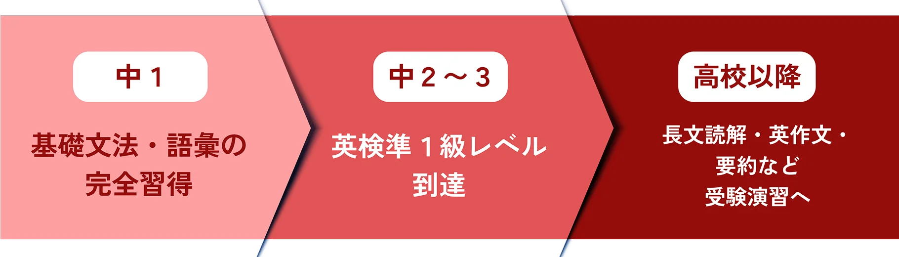 中1 基礎文法・語彙の完全習得/中2～3 英検準1級レベル到達/高校以降 長文読解・英作文・要約など受験演習へ
